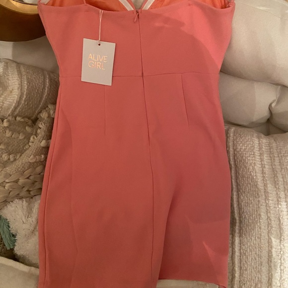 Hello Molly new with tags - Picture 4 of 4